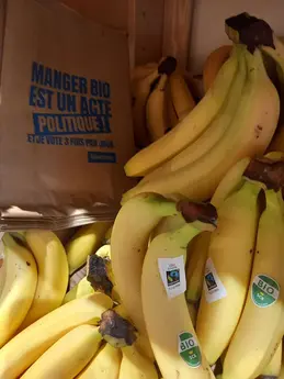 706-biocoop-montpellier-clemenceau-bio-magasin-fruit-banane.webp